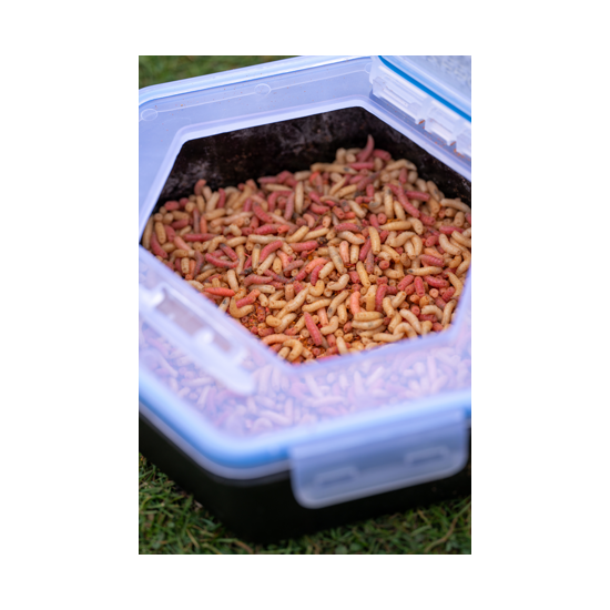 Cutie momeala Zebco - Secure-Lock Bait Box and Sieve 2.0L